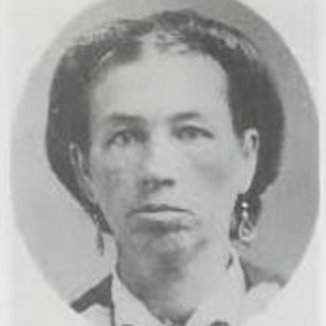 Emeline Elmer (1828 - 1899) Profile